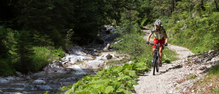 Sport in Vorarlberg